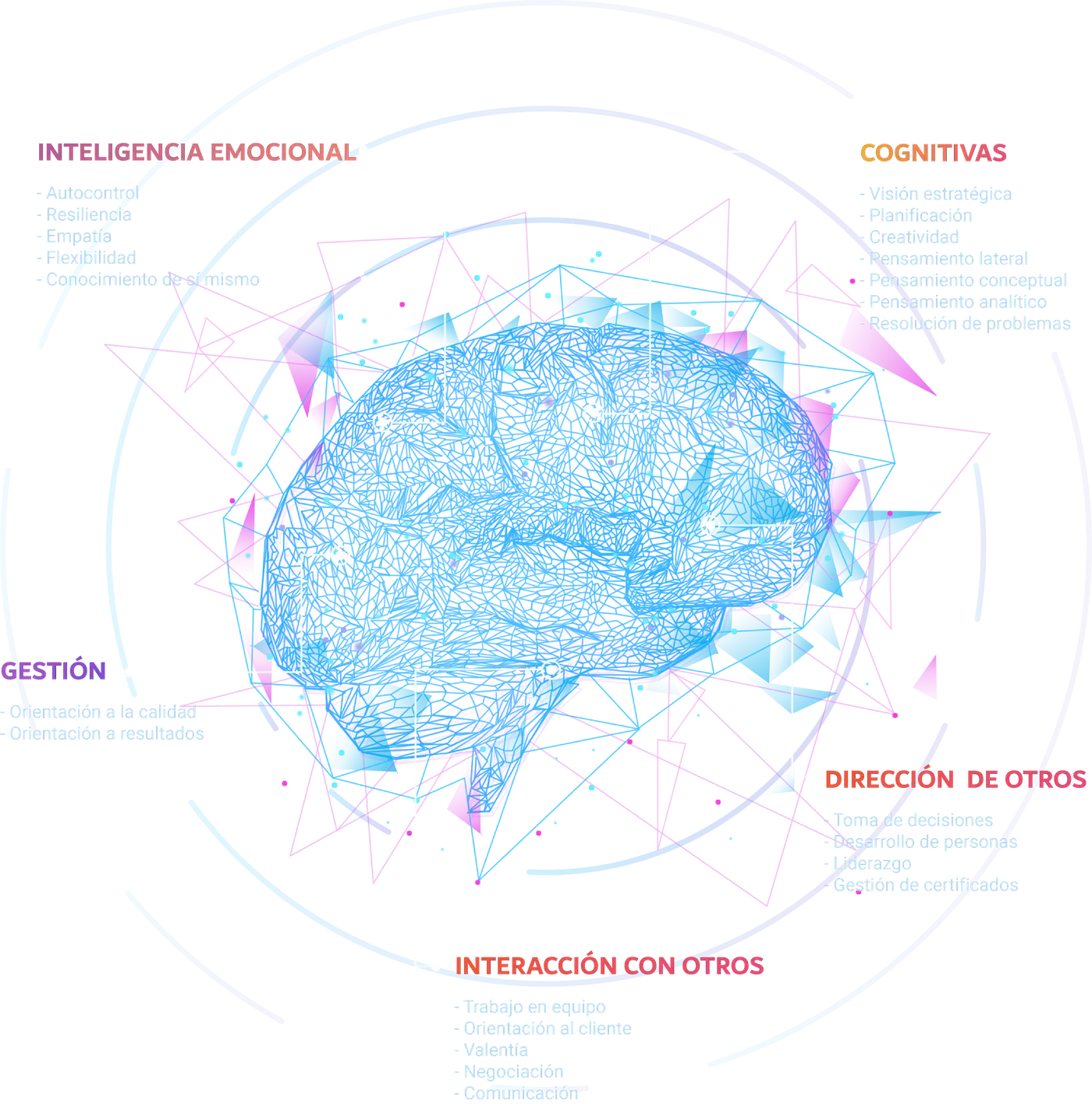Mapa de habilidades blandas que evaluamos: inteligencia emocional, cognitivas, gestión, dirección de otros e interacción con otros