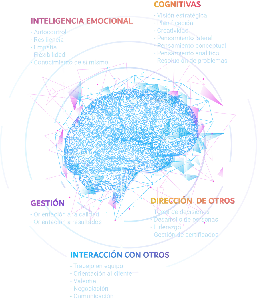 Mapa de habilidades blandas que evaluamos: inteligencia emocional, cognitivas, gestión, dirección de otros e interacción con otros