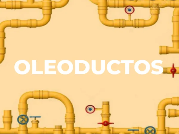 Captura del juego de evaluación de soft skills Un día en el zoo